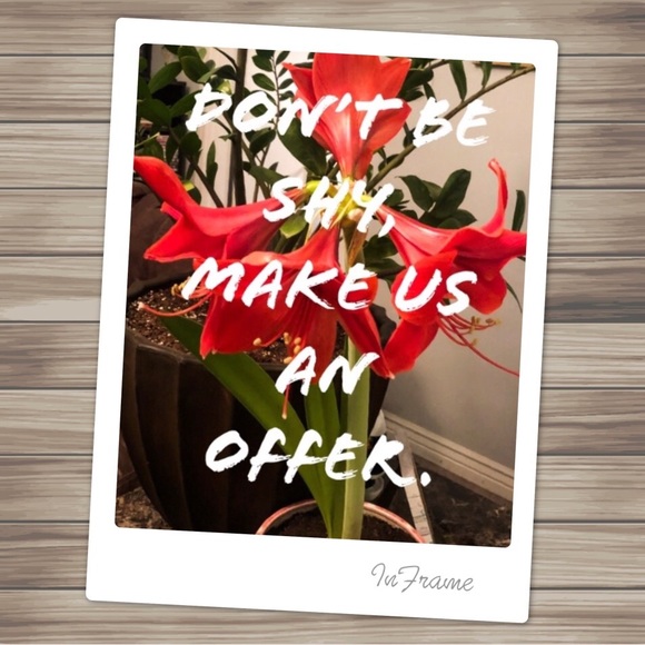 No Reasonable Offer Refused - Picture 1 of 1